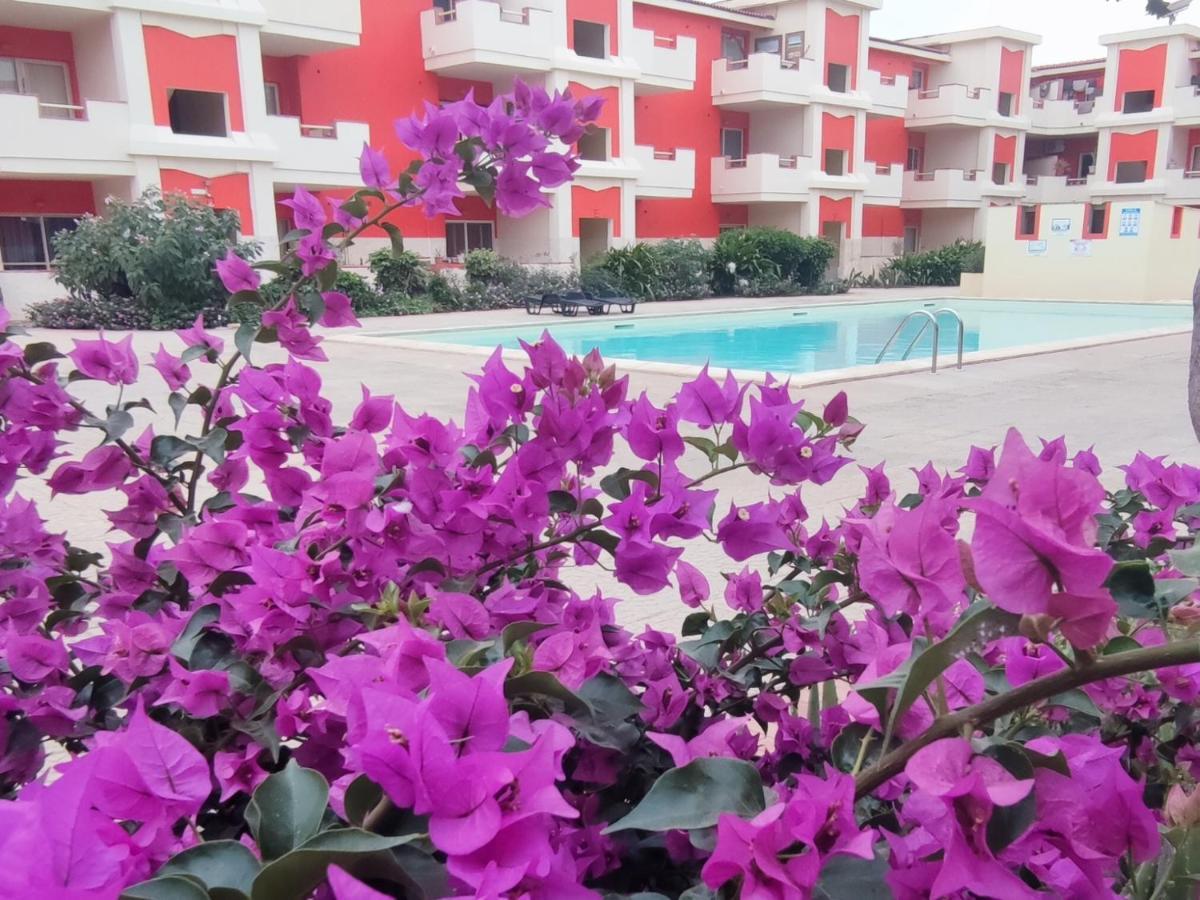 Sal Service Red Moradias Residence With Pool ซังตามาเรีย ภายนอก รูปภาพ