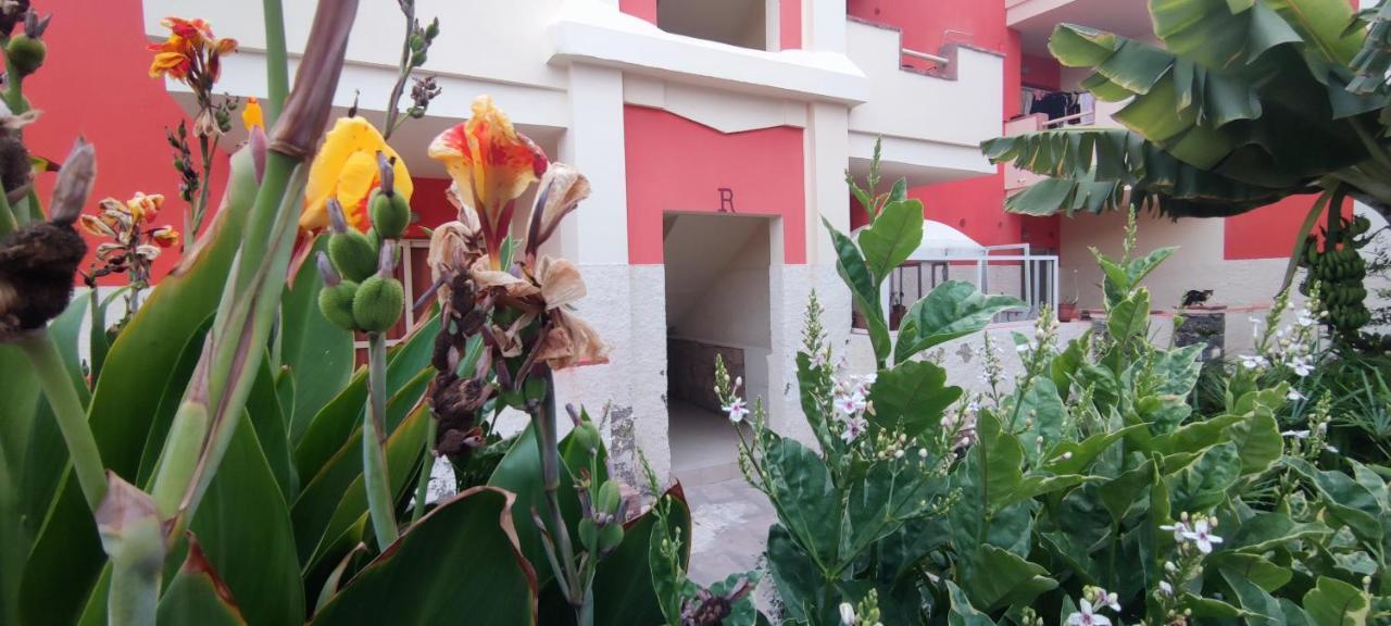 Sal Service Red Moradias Residence With Pool ซังตามาเรีย ภายนอก รูปภาพ